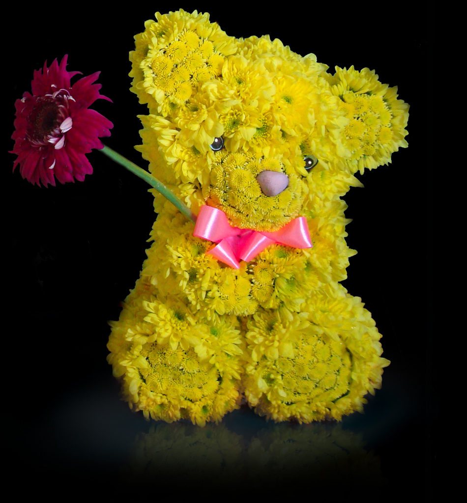 Желтый медвежонок из живых цветов с герберой в лапках