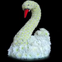 Игрушка «Лебедь» из живых цветов